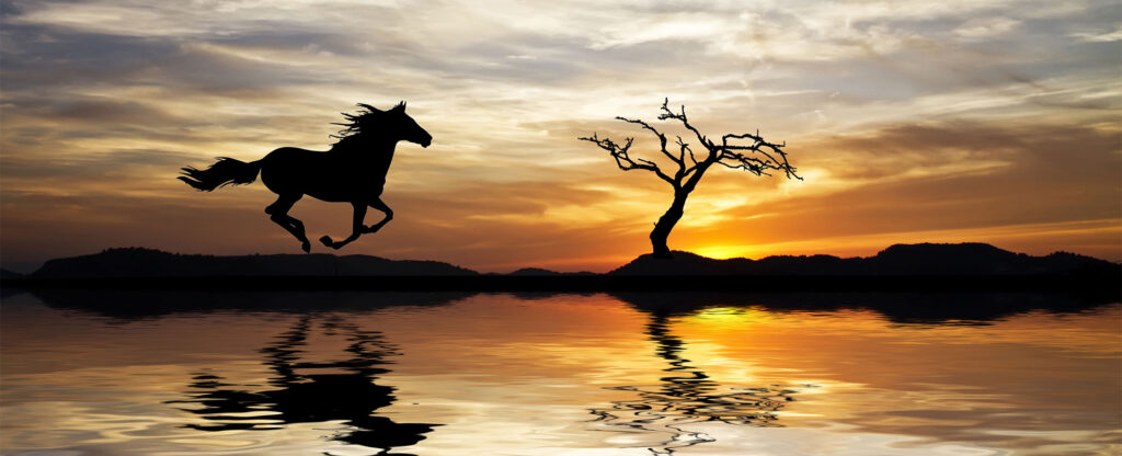 The Horse in Irish Folklore