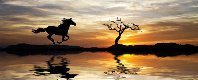 The Horse in Irish Folklore